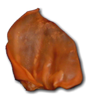 Bones & Chews Pig Ear Chews Dog Treats
