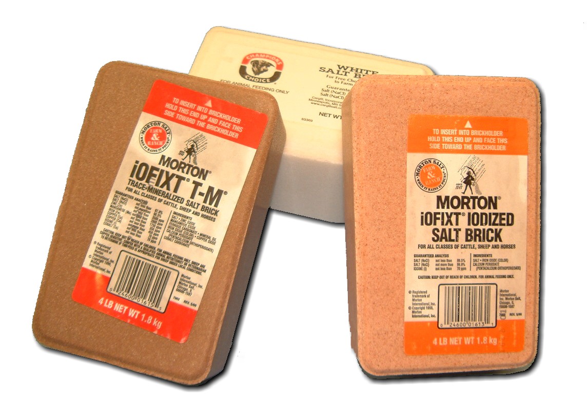 Trace Mineral Salt Brick 4 Lb