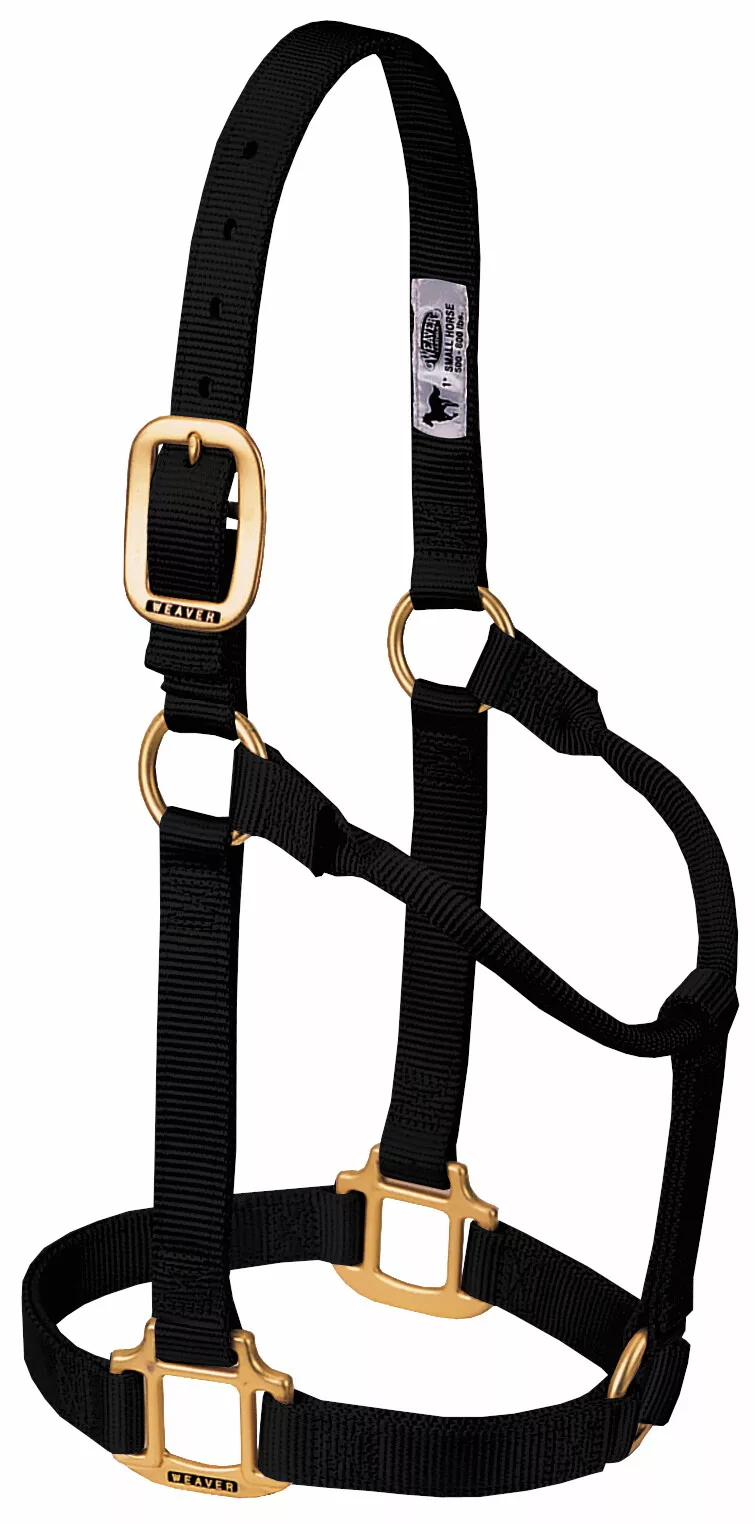 Halter (Large Horse Size)