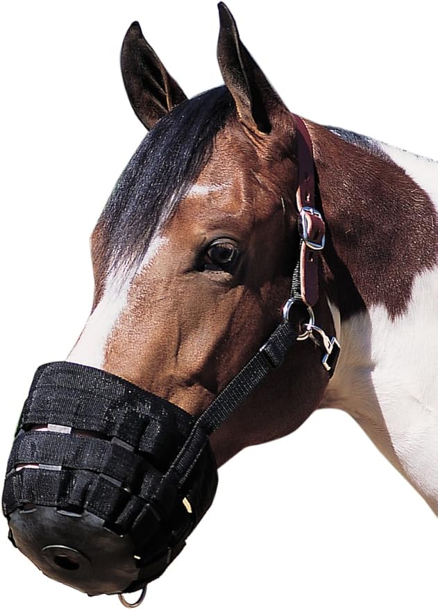 Muzzle, Horse Ea.