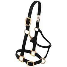 Halter 35-7035 Adj. Average