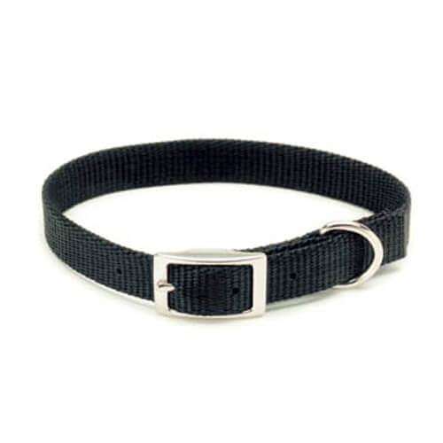 Dog Collar, 12"