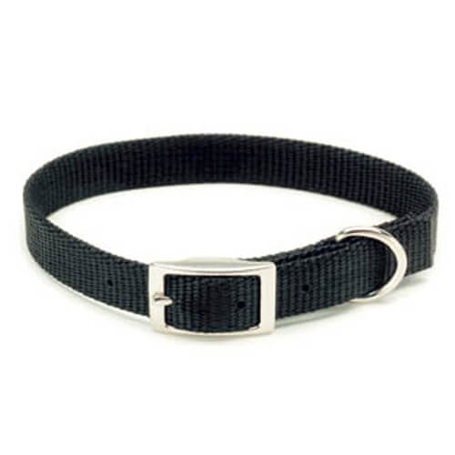 Dog Collar, 401  10" Blue