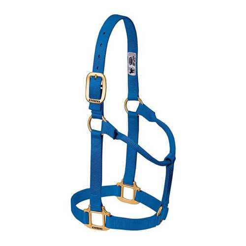 Halter (Average Horse Size)