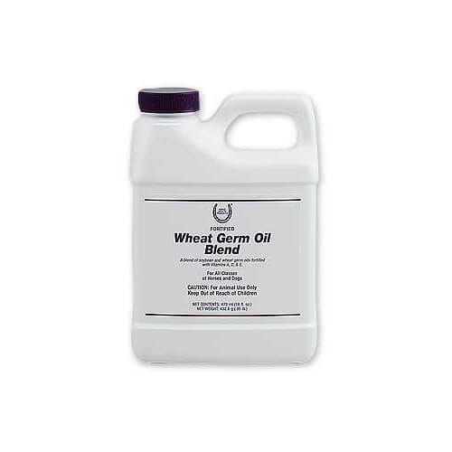 Wheat Germ Oil Gallon