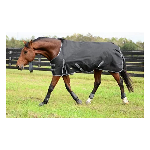 Fly Mask, Long Nose W/Ear 